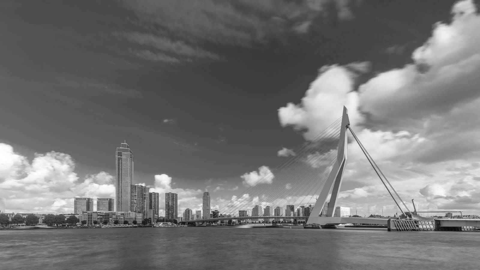 Rotterdam Skyline met Erasmusbrug